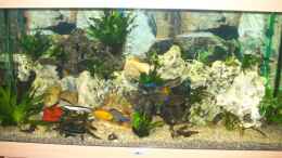 aquarium-von-andreas-hesse-becken-7368_Juwel 300 Liter Becken