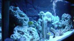 aquarium-von-o-k--becken-7369_Mein Neues Becken