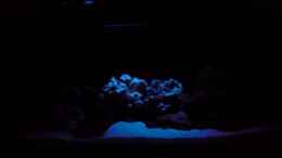 aquarium-von-o-k--becken-7369_Mondlicht auf 73%