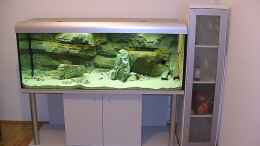 aquarium-von-georg-botz-tanganjika-seit-2008_Gesamtansicht: es hätte auch 20 cm länger sein können ;-)