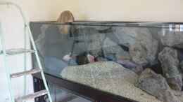 aquarium-von-crenii-becken-7736_Meine Frau beim Zuschnitt der Kiesmatte, da sieht man erst w