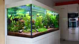 aquarium-von-schmausi-little-dream_seitlich vom Wohnzimmer