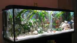 aquarium-von-ricardo-kisker-becken-805_Becken von links