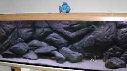 aquarium-von-nimbo-becken-8122_Zweite Füllung mit Wasser...läuft jetzt ein...