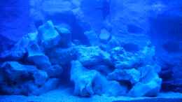 aquarium-von-torsten-dau-becken-8555_Mit T5 Beleuchtung