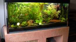 aquarium-von-sado-uwe-becken-8561_die Pflanzen wachsen sehr gut