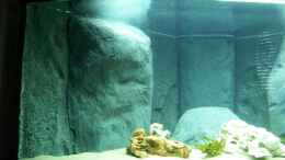 aquarium-von-tobschen-becken-8605_Ansicht von links