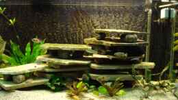 aquarium-von-troll-becken-malawi-mbunas_Die aufgeschichteten Natursteinplatten