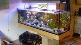 aquarium-von-peters-laden-becken-8709_Becken in der Totalen :)