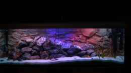 aquarium-von-calimero-720-malawi-mischbecken---nicht-mehr-existent_Sonnenuntergang zu Mondlicht ??bergang