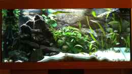 aquarium-von-xdennisx3-becken-8819_Juwel Rio 300