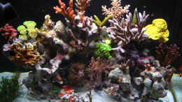 aquarium-von-water13-becken-9103_Red Sea Max .