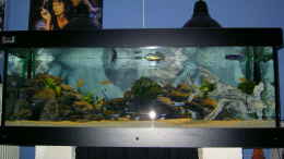 aquarium-von-florian-ober-becken-917_Becken mit Blitz fotografiert