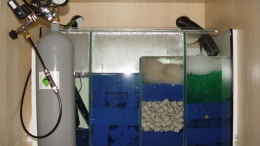 aquarium-von-rene-dietzel-575-liter-diskus-wildfangbecken-abgebaut_96 Liter Filterbecken