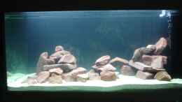 aquarium-von-roadrunner-68-malawi-im-wohnzimmer_Aquarium jetzt mit Wasser, aber noch leer