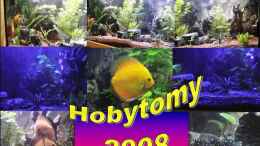 aquarium-von-hobytomy-becken-9347_passt nicht auf ein Foto