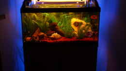 aquarium-von-mmd-becken-9453_Hintergrundbeleuchtung