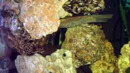 aquarium-von-gaspode-becken-9609_(Lawa)Steine - Verstecke für die Kleinen und Welse