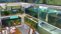aquarium-von-dornwels-becken-9750_nach links und hinten