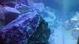 aquarium-von-finaldragon-becken-9840_Steine mal seitlich gesehen...