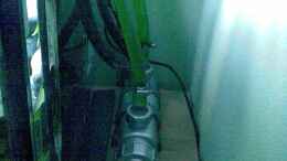 aquarium-von-michael-geigel-mein-altes-tanganjika-becken_9w UV-C Filter seitlich vom 3 Kammerfilter
