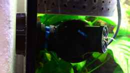 Aquarium einrichten mit Tunze Nanostream 6045 mit Magnethalter