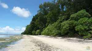 Palau als Herkunftsgebiet tropischer Aquariumfische