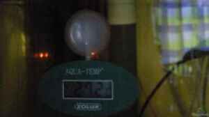 Zolux Digitalthermometer