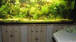 648 Liter Küchen-Aquarium