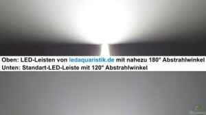 Meine LED-Beleuchtung - stromsparend, leistungsstark, naturnah, bezahlbar