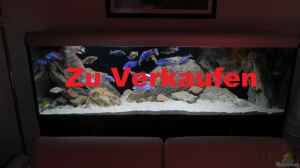 Aquarium Hauptansicht von ZU VERKAUFEN OPEN FREE T