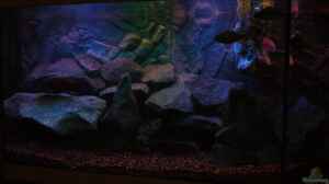 Hauptbild des Aquariums mit Sonnenuntergang Simula