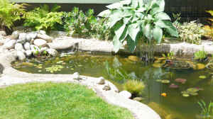 Bild aus dem Beispiel Teich von Sissifischlein