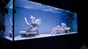Meerwasseraquarium 200 x 70 x 70