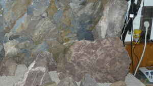 Granitsteine im Wald gesammelt