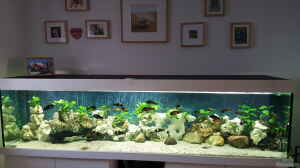 Mein Aquarium 2,50x0,60x0,60 Meter