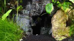 Bild aus dem Beispiel Green Caves von Radi87