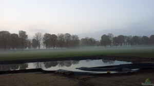 Teich im Morgennebel