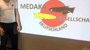Interview mit Günther Lange, Medaka Gesellschaft Deutschland