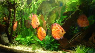 einrichtungsbeispiele de