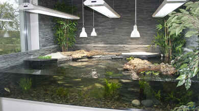 Aqua-Terrarium für Wasserschildkröten von Hoppe-Terrarienbau