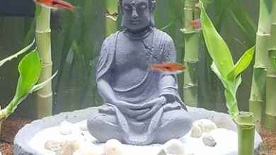 Buddha bei die Fische von Bawitdaba