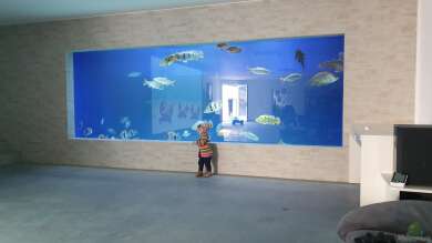 Großaquarium in Bayern von Fido Fischer