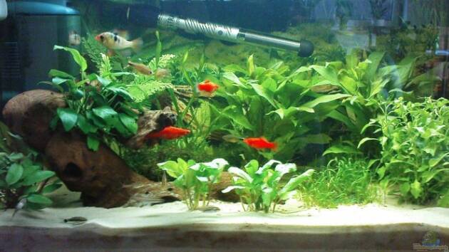 Zum Beispiel Becken 10003