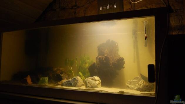 Zum Beispiel Becken 10070