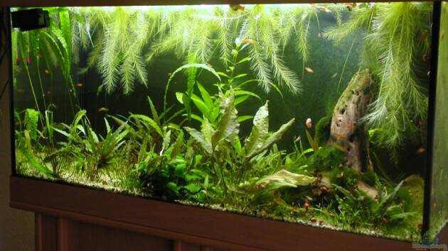 Zum Beispiel 200 Liter Red Fire