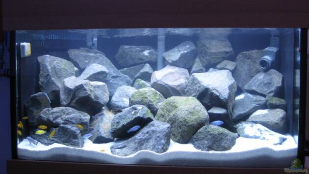 Zum Beispiel Becken 10474