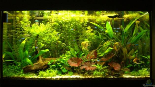 Zum Beispiel Becken 10482