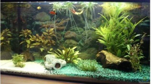 Zum Beispiel Becken 1050