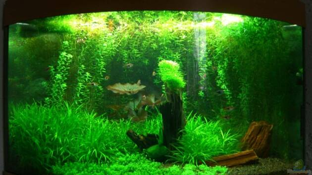 Zum Beispiel Becken 10539